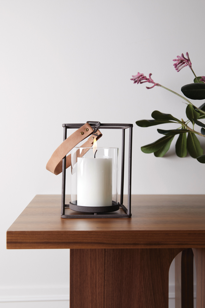 Pflanze, Mobiliar, Tabelle, Tischplatte, Blume, Kerze, Kerzen, Laterne aus Metall, Laterne, Holztisch